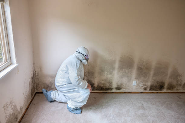 Asbestos and Lead Testing During Mold Inspection in Aberdeen, MD